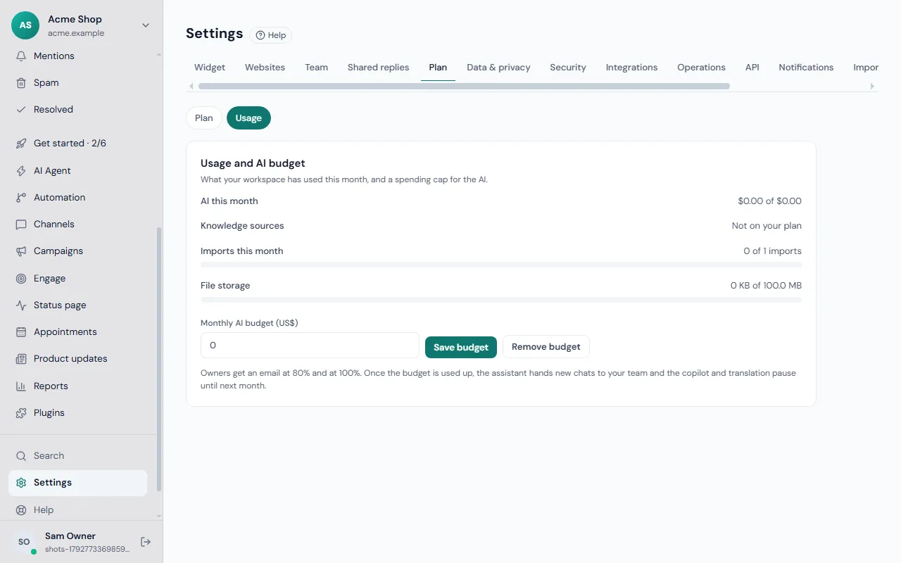 Settings, Plan, Usage: what this month has used and the monthly AI budget box